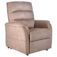 Golden Technologies DeLuna Elara Power Lift Recliner Chair For Cheap