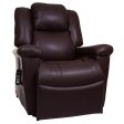 Golden Technologies Day Dreamer Power Lift Recliner Chair Online now