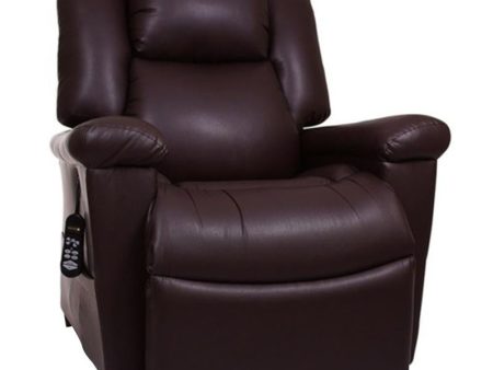 Golden Technologies Day Dreamer Power Lift Recliner Chair Online now